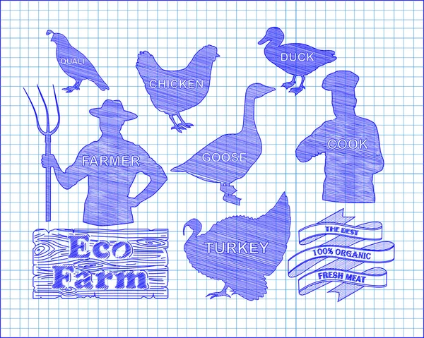 bıldırcın ve çiftçi co ile güzel tavuk hindi ördek kaz