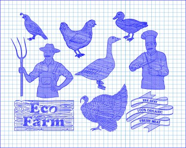 bıldırcın ve çiftçi co ile güzel tavuk hindi ördek kaz