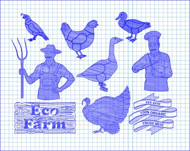 güzel düzeni tavuk hindi ördek kaz bıldırcın kesme ve çok