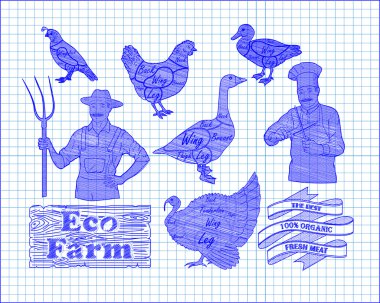 güzel düzeni tavuk hindi ördek kaz bıldırcın kesme ve çok