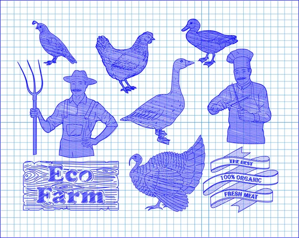 bıldırcın ve çiftçi co ile güzel tavuk hindi ördek kaz