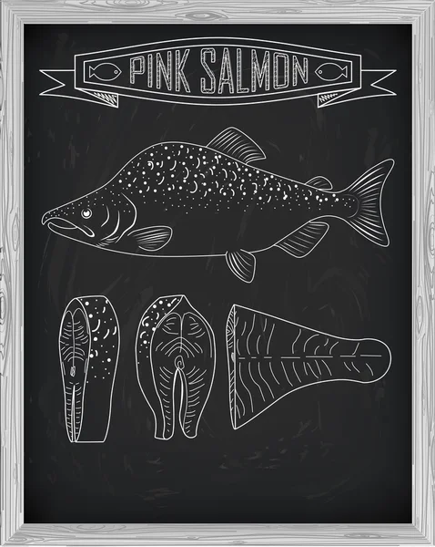 チョークで描かれた美しい新鮮なサーモン クローズ アップ横から見た図。ピンク — ストックベクタ