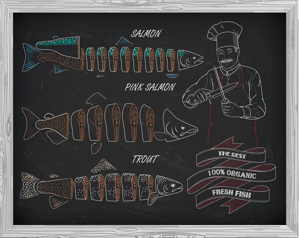 Vackra mönster av lax, öring och laxrosa. Kock med kn — Stock vektor