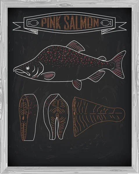 Belle vue latérale en gros plan de saumon frais dessinée à la craie. Rose — Image vectorielle