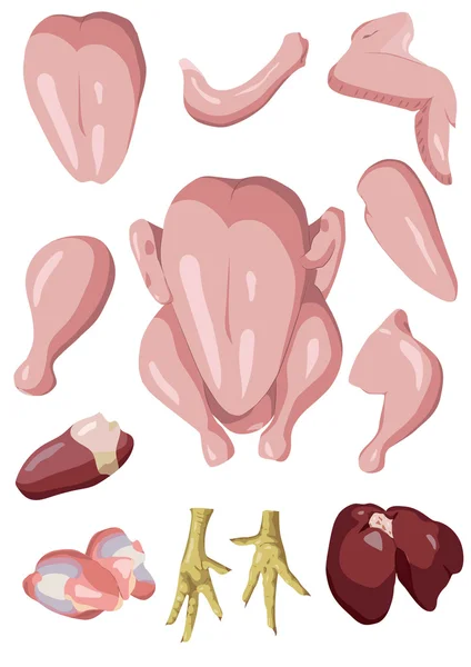 鸡或原料母鸡切肉，内脏的胴体计划部分: — 图库矢量图片