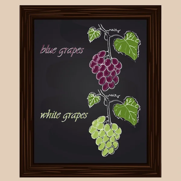 Raisins blancs et bleus dessinés à la craie — Image vectorielle