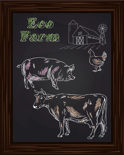 Eko çiftlik tavuk, inek, domuz — Stok Vektör