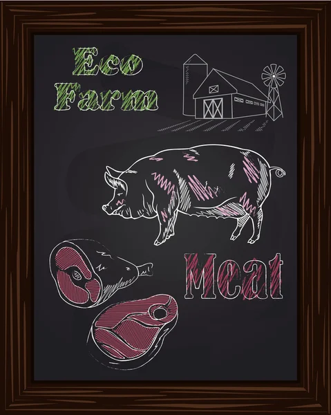 Eco termine con maiale e carne — Vettoriale Stock