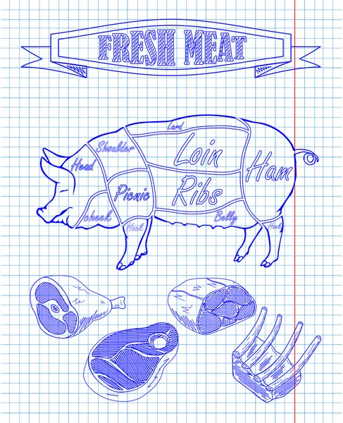 Diagramme de porc et morceaux de viande — Image vectorielle