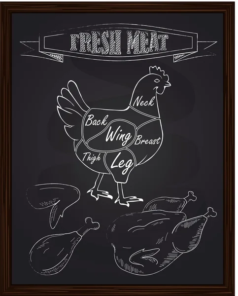 tavuk Diyagram ve et parçaları