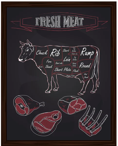 Rundvlees regeling en stukken vlees — Stockvector