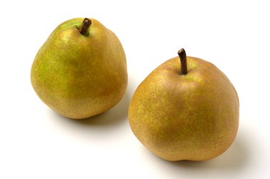 Armutlar arka planda 04