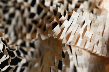 Bir dağınıklığa yerleştirilmiş ağ kağıdı. 03