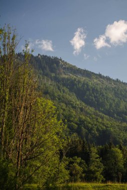 Avusturya Alpleri 'nin doğası güzelliği ve ihtişamıyla göze çarpar. Yürüyüş yollarının unutulmaz görüntüsü. 