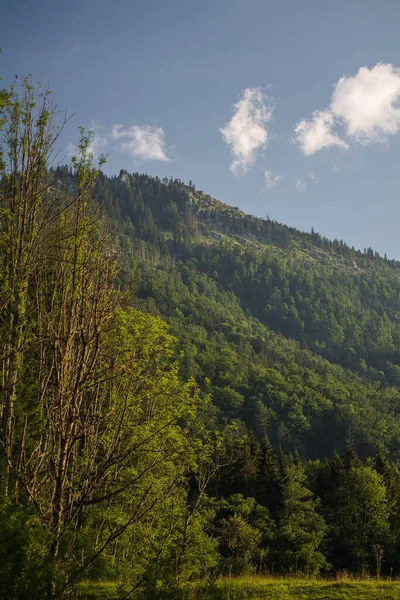 Avusturya Alpleri 'nin doğası güzelliği ve ihtişamıyla göze çarpar. Yürüyüş yollarının unutulmaz görüntüsü. 