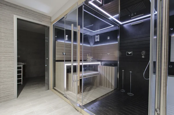 Modern Fin saunası ile neon ışıkları. Güzel iç ev 