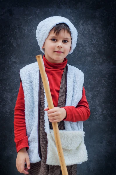 Een jongen verkleed als een haan. In de hand houden — Stockfoto