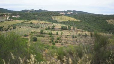 Ceret, Fransa, Avrupa köyü yakınlarındaki manzara.