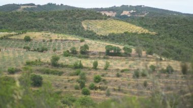 Ceret, Fransa, Avrupa köyü yakınlarındaki manzara.