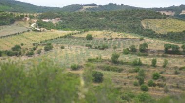 Ceret, Fransa, Avrupa köyü yakınlarındaki manzara.