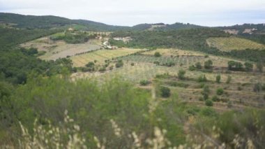 Ceret, Fransa, Avrupa köyü yakınlarındaki manzara.