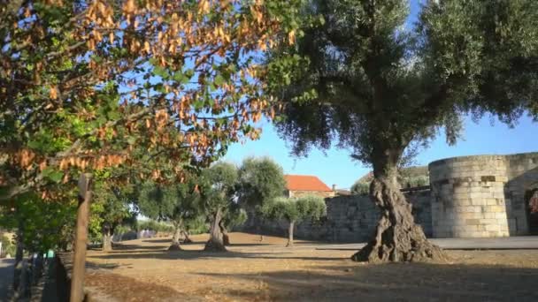 Stará Brána Idanha Velha Portugalsko Evropa — Stock video