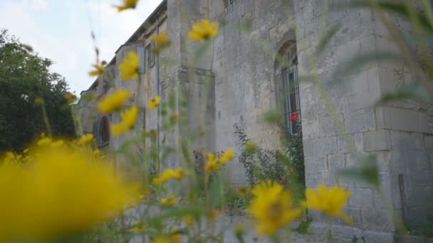 Saint Remy Provence 1St September 2019 Buiten Het Klooster Van — Stockvideo