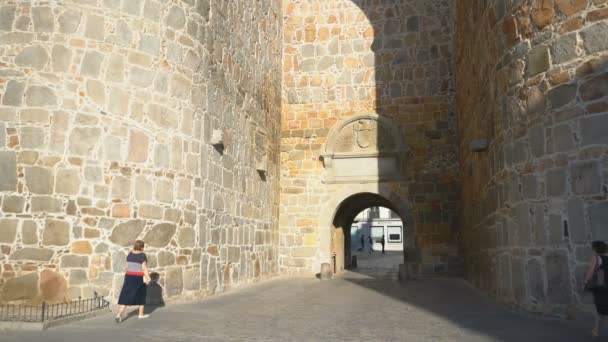 Avignon Francia Julio 2017 Exterior Del Palais Des Papes Aviñón — Vídeos de Stock