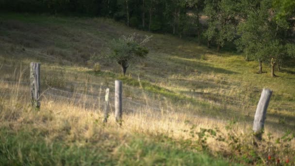 Paisaje Cerca Del Roquefort Sur Soulzon Francia Europa — Vídeo de stock