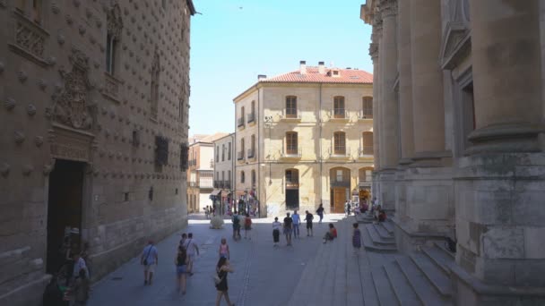 Albi France 25Η Αυγουστου 2019 Opera Grand Rue Racine — Αρχείο Βίντεο