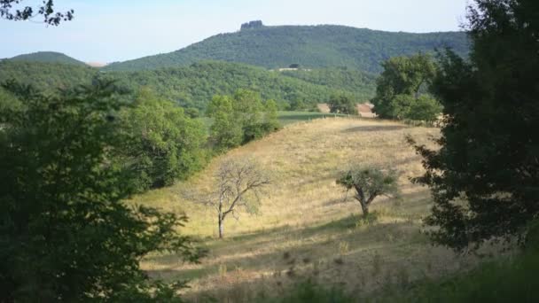 Paysage Près Roquefort Sur Soulzon France Europe — Video