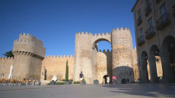 Avignon Francia Julio 2017 Exterior Del Palais Des Papes Aviñón — Vídeos de Stock