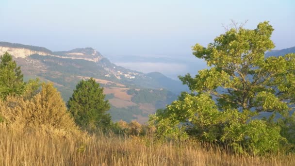 Vista Aérea Del Pueblo Roquefort Sur Soulzon Paisaje Francia Europa — Vídeos de Stock