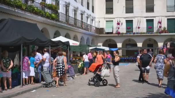 Albi Frankrijk 25E August 2019 Opera Grand Aan Rue Racine — Stockvideo