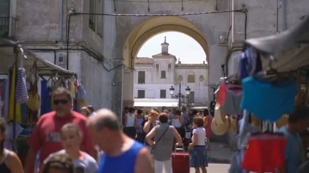 Albi France Août 2019 Opéra Grand Rue Racine — Video