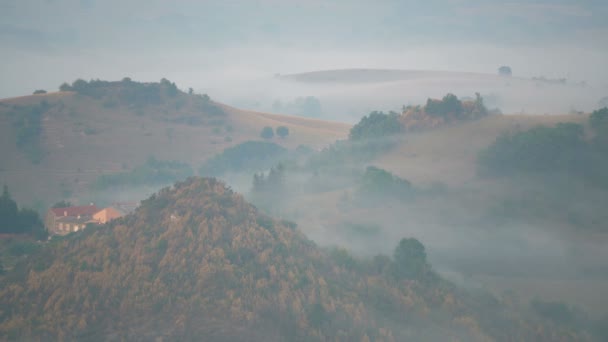 Vista Aérea Del Pueblo Roquefort Sur Soulzon Paisaje Francia Europa — Vídeos de Stock