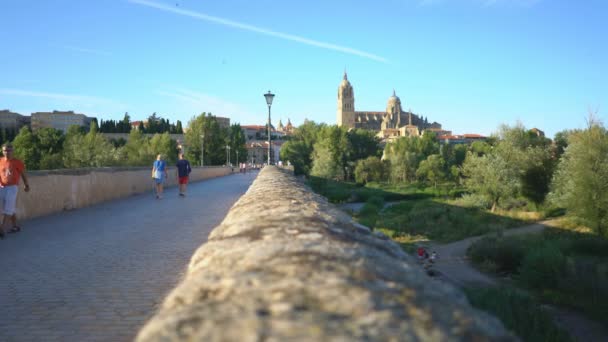 Vedere Generală Albi Franța Europa — Videoclip de stoc