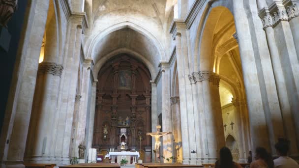 Albi France 25Th Aug2018 2019 Interior Cathedral Saint Cecilia Albi — 비디오