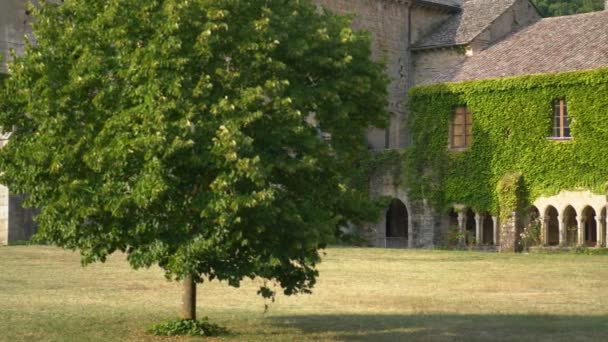 Abbaye Sylvanes Dışı Fransa Avrupa — Stok video