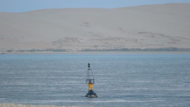 Baie Arcachon Dune Pilat France Europe — Video