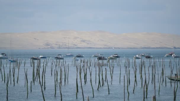 Arcachon Bay Duna Pilat Francie Evropa — Stock video