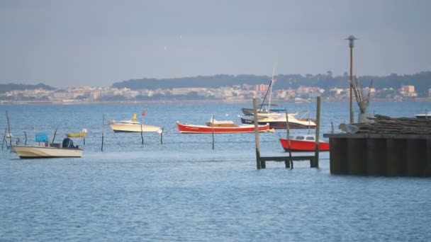 Arcachon Bay Dune Pilat Francia Europa — Video Stock