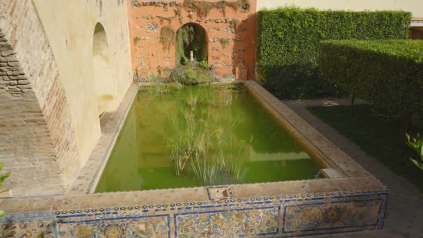 Sevilla Spain 11Th August 2019 Interior Real Alczar Sevilla Spain — Stock Video