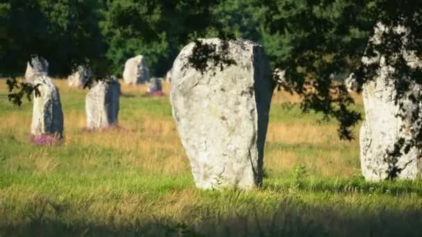 Pietre Carnac Bretagna Francia Europa — Video Stock