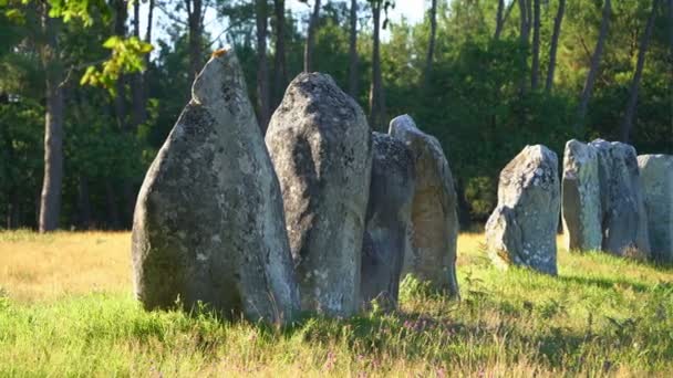 Карнацькі Камені Бретань Франція Європа — стокове відео