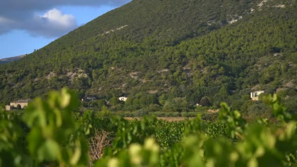 Aldeia Cirque Navacelles França Europa — Vídeo de Stock