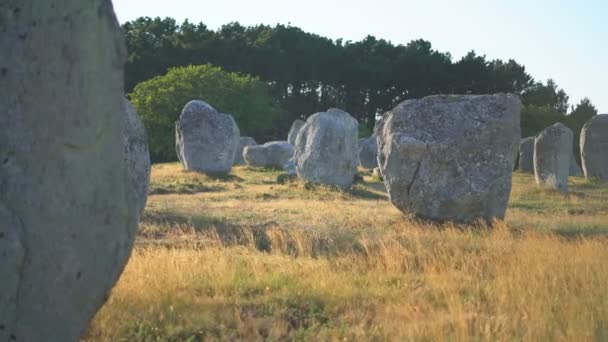 Pedras Carnac Bretanha França Europa — Vídeo de Stock