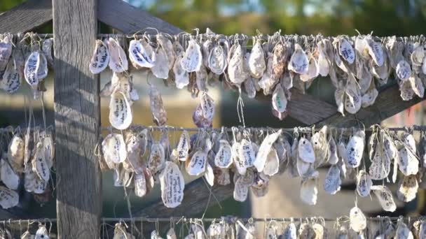 Bunte Muscheln Hängen Seilen — Stockvideo