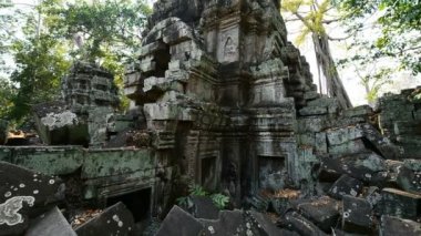 Ta Prohm Tapınağının kalıntıları, Angkor, Kamboçya, Asya
