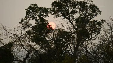 Phnom Bakheng tapınağında gün batımı, Angkor tapınakları, Siem Reap, Kamboçya, Hindiçin, Güneydoğu Asya.